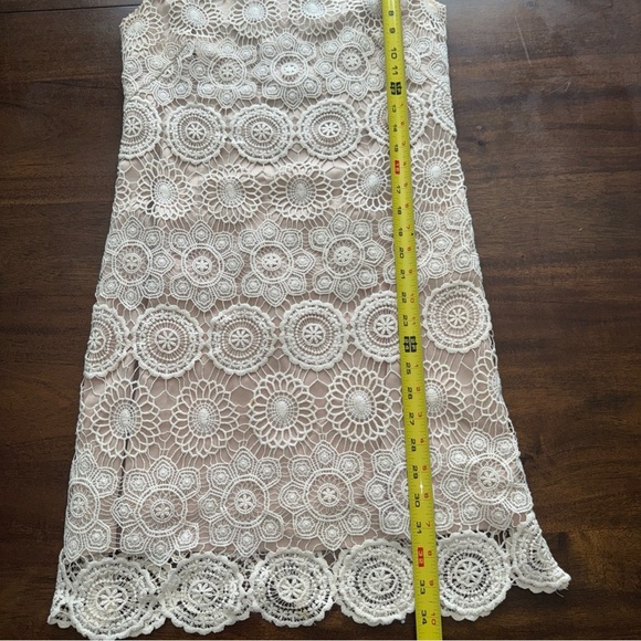Eliza J Ivory Crochet Lace with Nude Underlay Sleeveless Petite Sheath Dress 2P - Picture 11 of 12